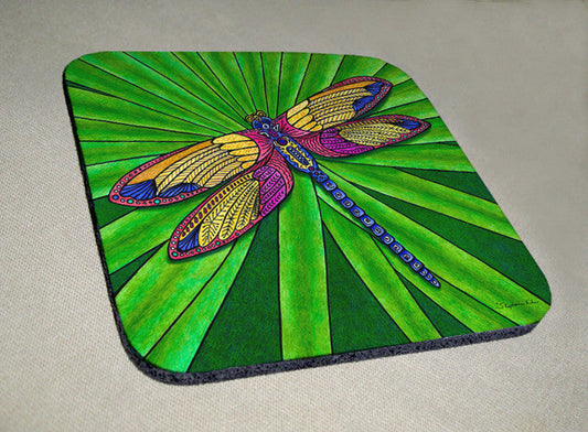 Dragonfly Coaster